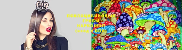 MDMA Абаза