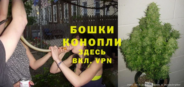стафф Надым